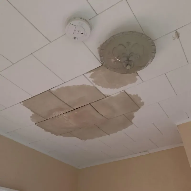 Ceiling Water Damage Repair in Mount Carmel, PA