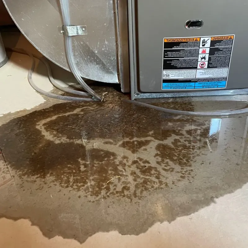 Pipe Burst and Leak Restoration in Mount Carmel, PA
